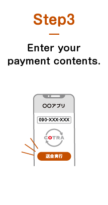Step3 Enter your payment contents.